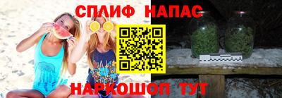 крисы Аша