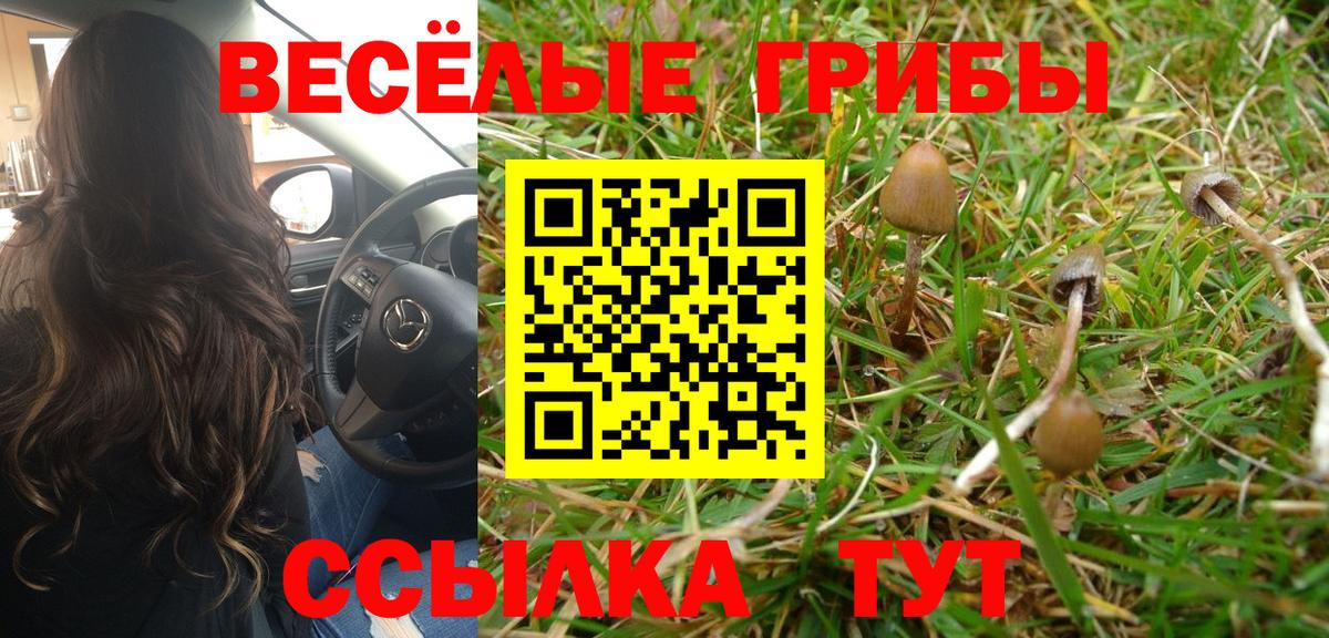 Аргун  Псилоцибиновые грибы Psilocybine cubensis  Вход с VPN  Галлюциногенные грибы мицелий 