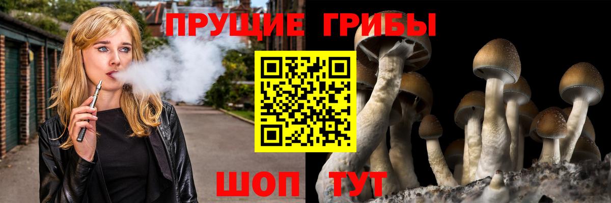 ГАШ Аргун